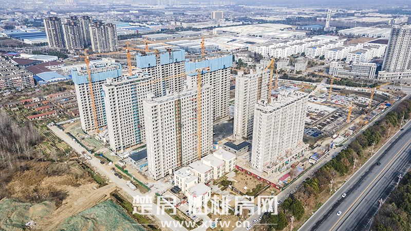 城发投·书馨雅苑2月家书丨美好逢春至 家境焕新颜