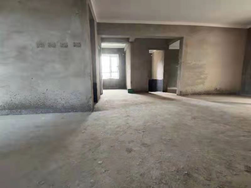 森林国际 四房 毛坯  中间楼层 湖景房！