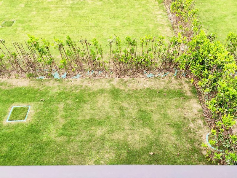 祥生观澜府.双拼别墅.南北通透.带院子.看房方便