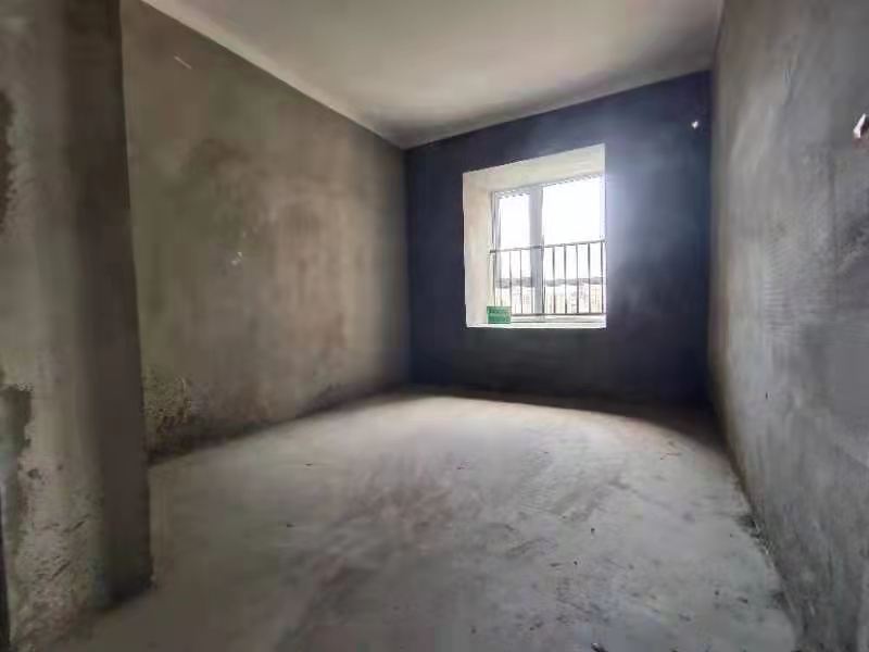 森林国际四房毛坯中间楼层湖景房！