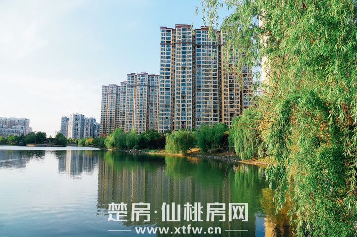 现代·森林国际城|北苑  当“浮翠之洲”遇见“森林之光”