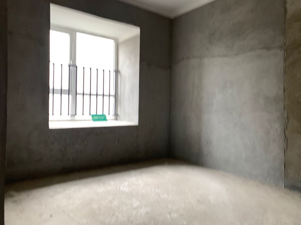 森林国际毛坯三房湖景房南北双阳台看房方便