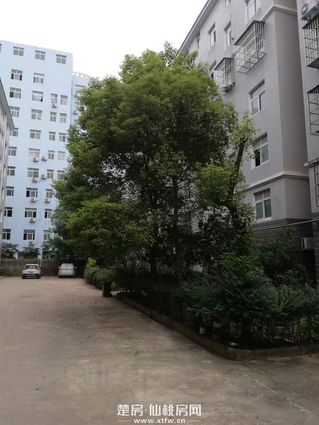 仙北江汉人民医院三房两厅毛坯房出售