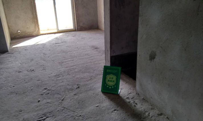 奥星凤凰城毛坯两房看房方便电梯高层看房方便