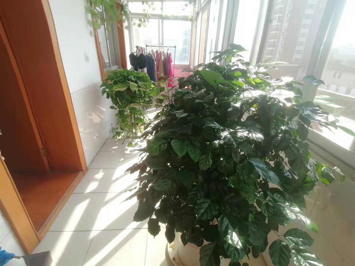 经纬楼步梯4楼精装修有大院子带地下室旁边龙华山对面中学证满2年