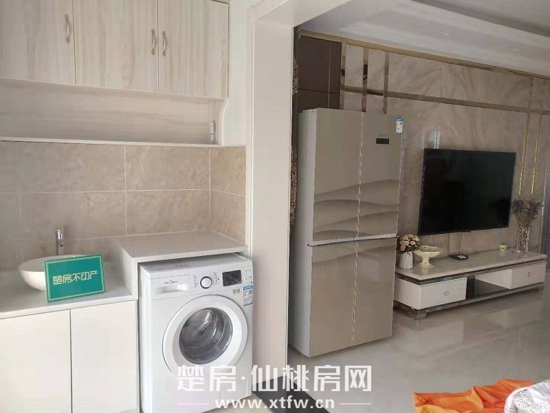 城南中央元泰未来城新房出租