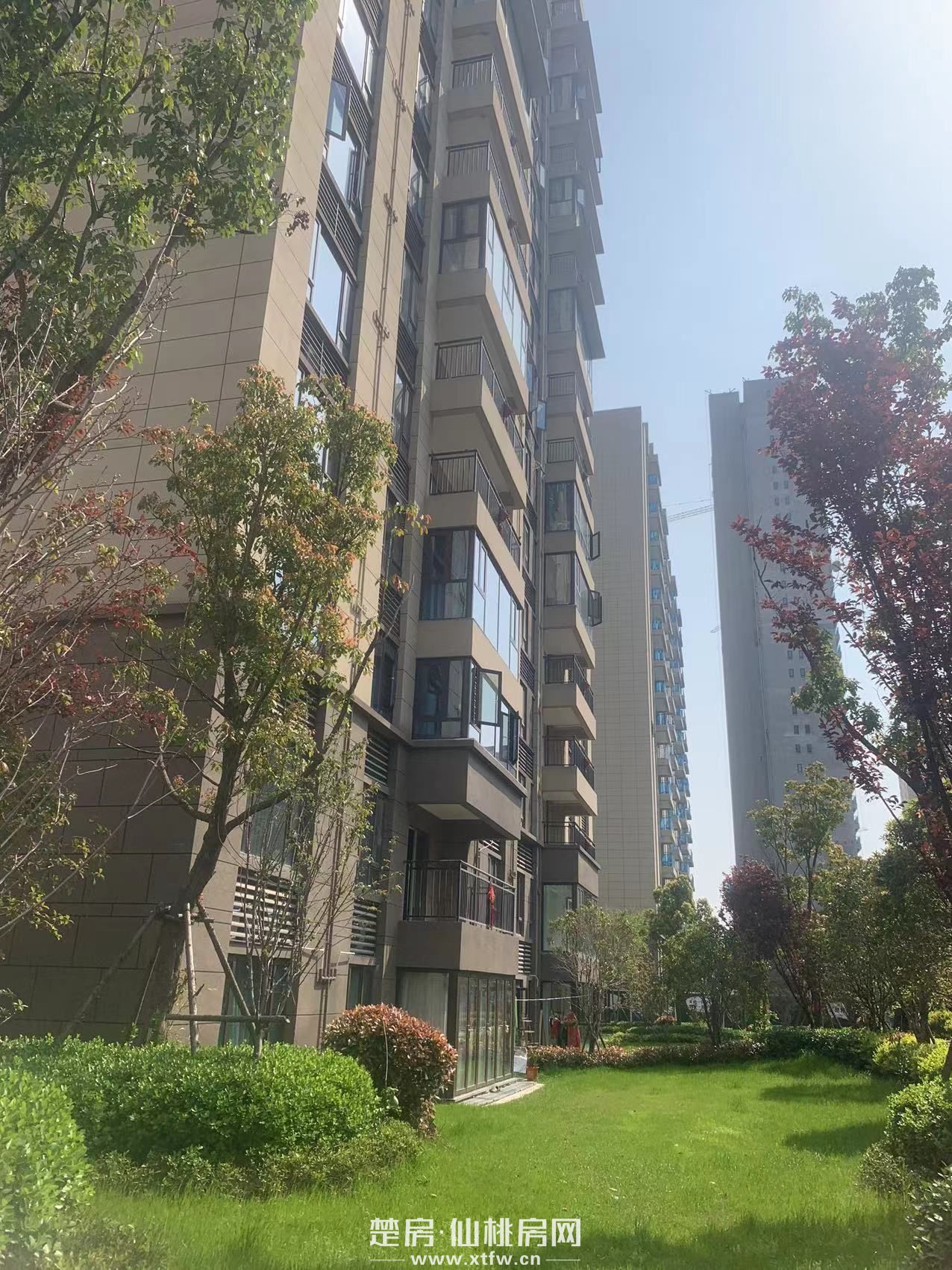 碧桂园毛坯五房，户型方正，采光好，诚心出售