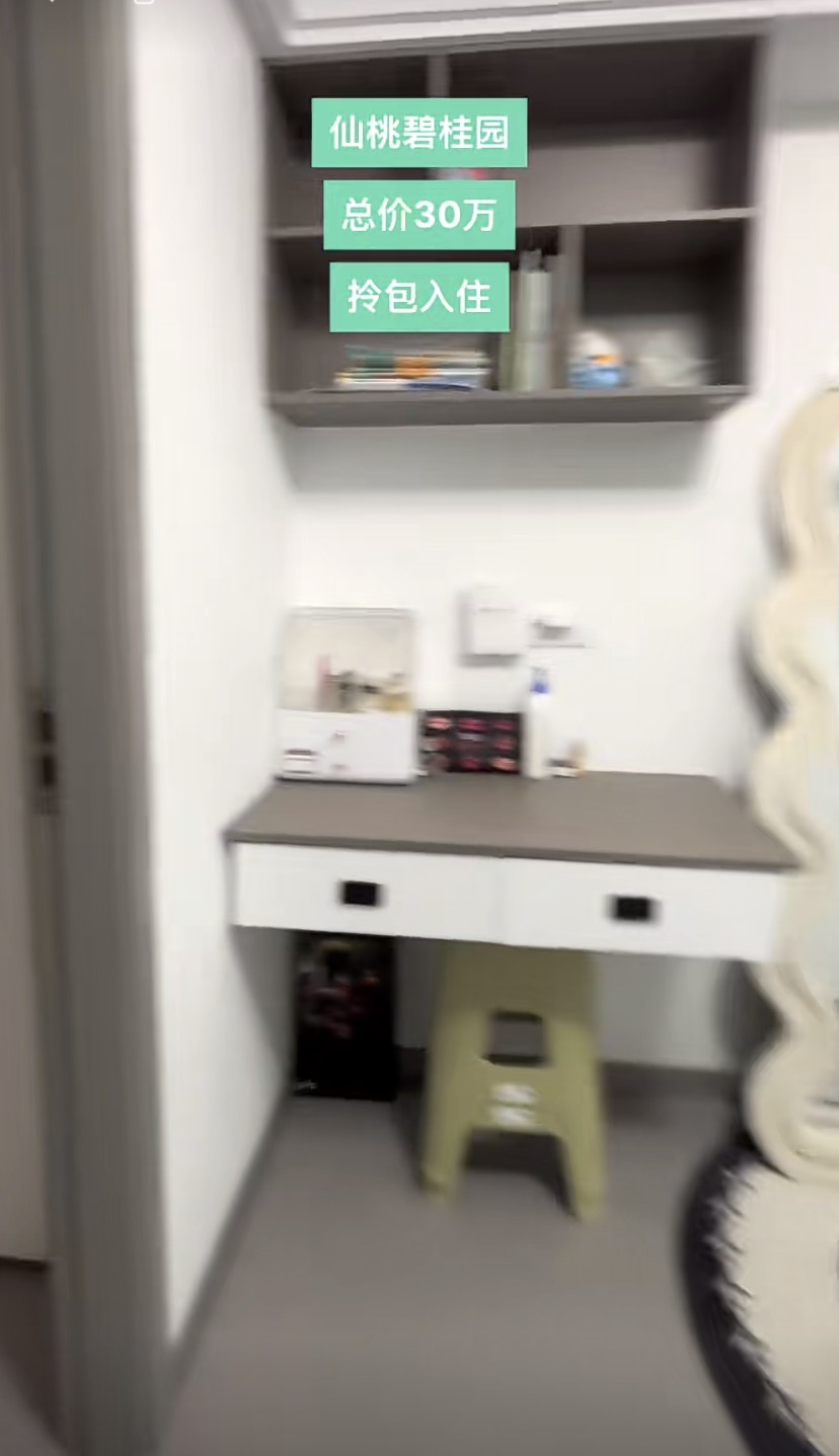 408，城南，仙桃碧桂园复式，9.9成新装修，带衣帽间，中间楼层