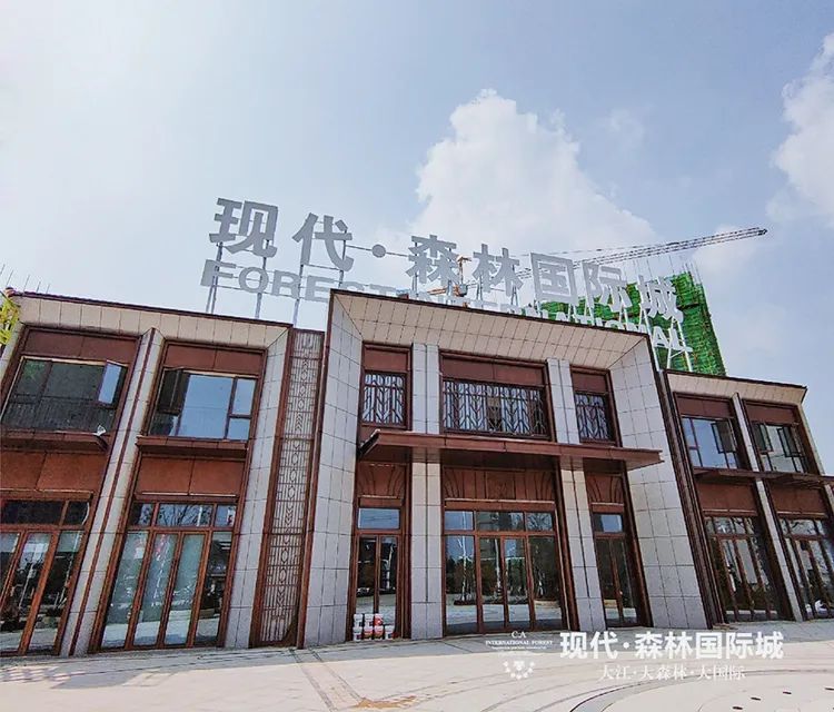 现代·森林国际城|仙北：过江置业之双城融合价格洼地篇！