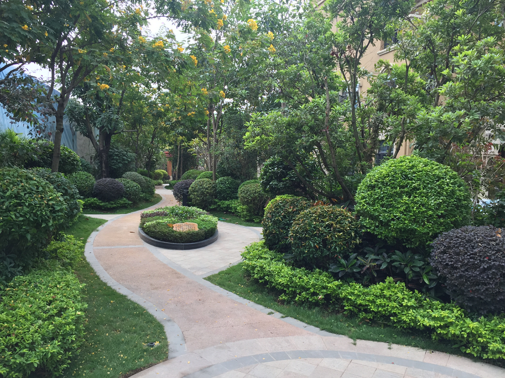 降价了，森林国际毛坯湖景房 南北通透 楼层采光好 前看湖后看景 欢迎看房