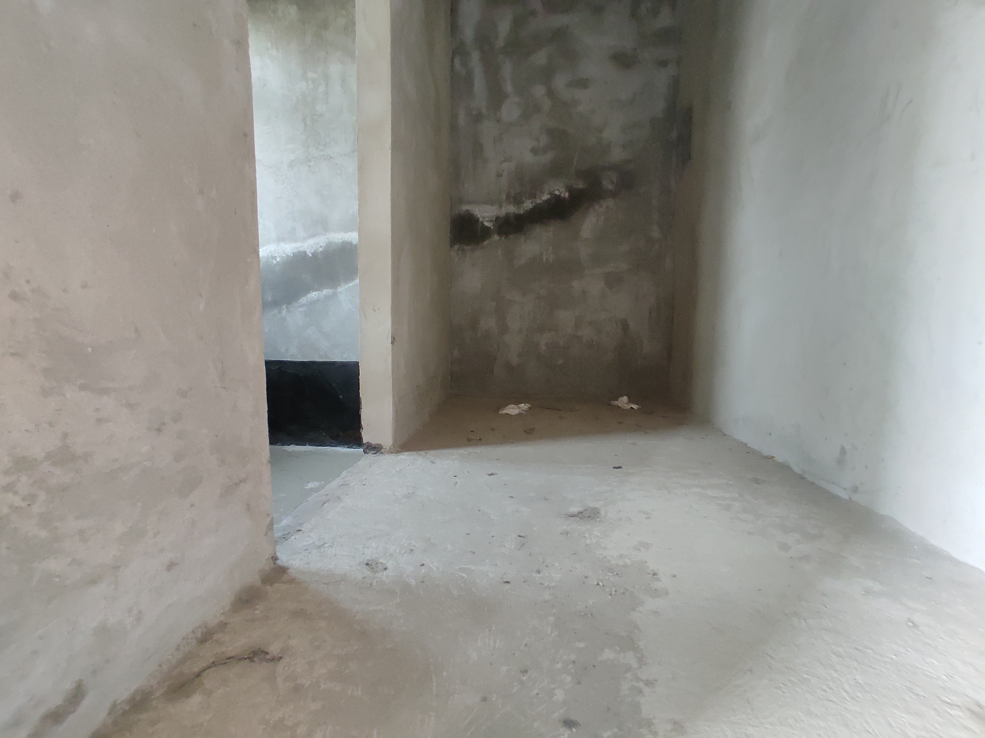 太子湖大别墅.带360度大院子.自带车库.看房方便