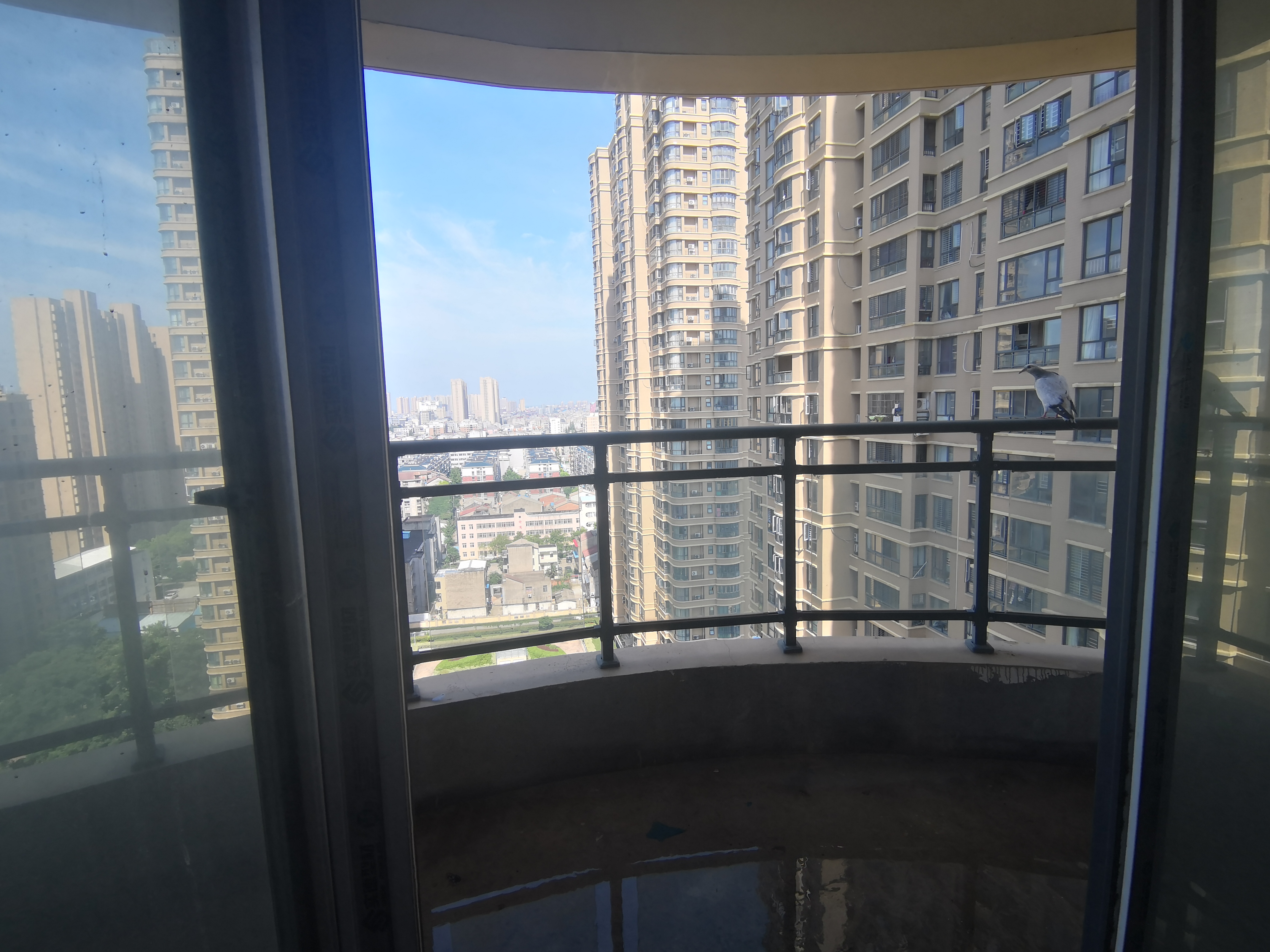 公园世家毛坯大四房双阳台南北通透中高层视野采光好