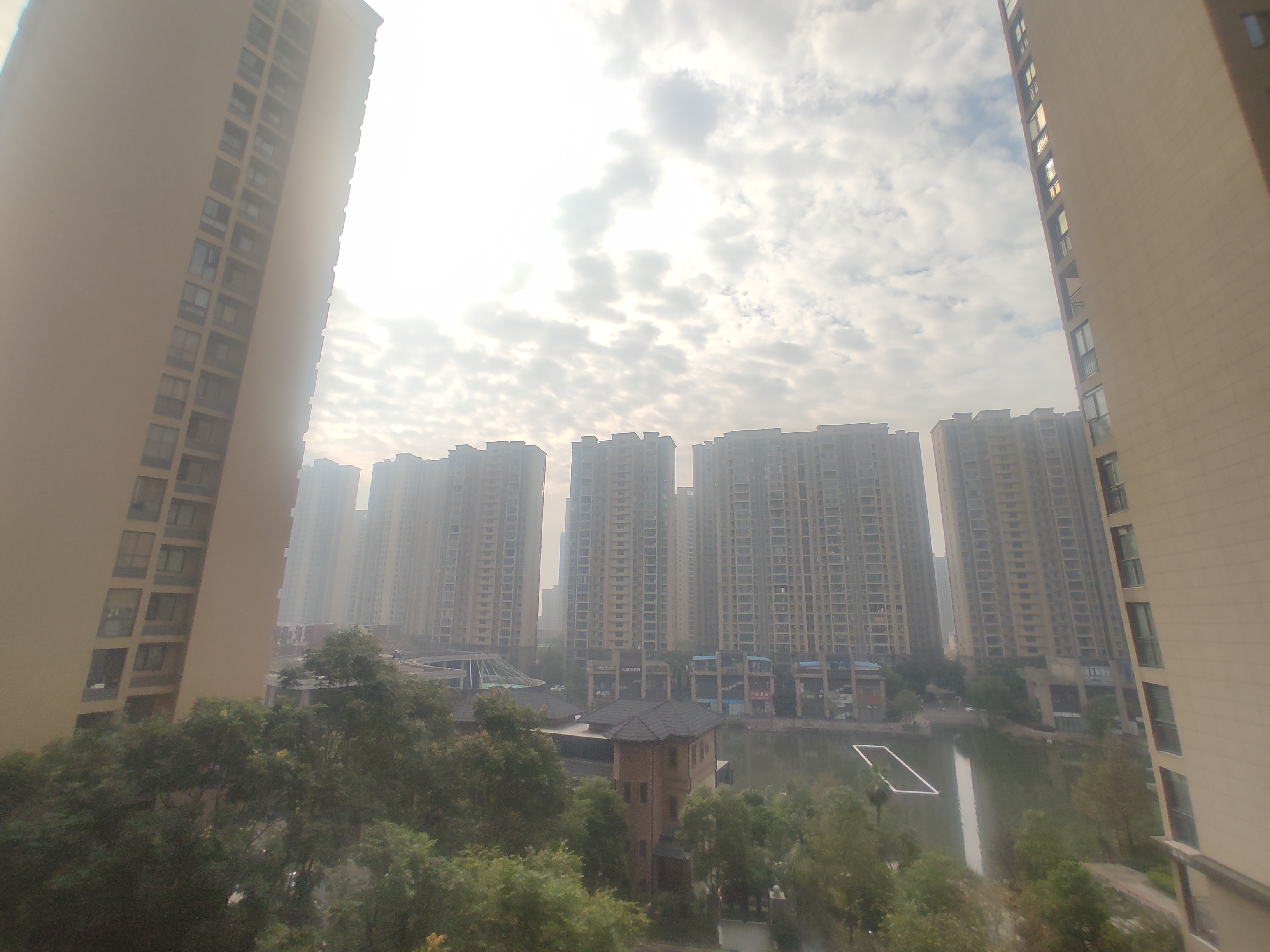 森林国际.毛坯三房.中间楼层.电梯湖景房.看房有钥匙