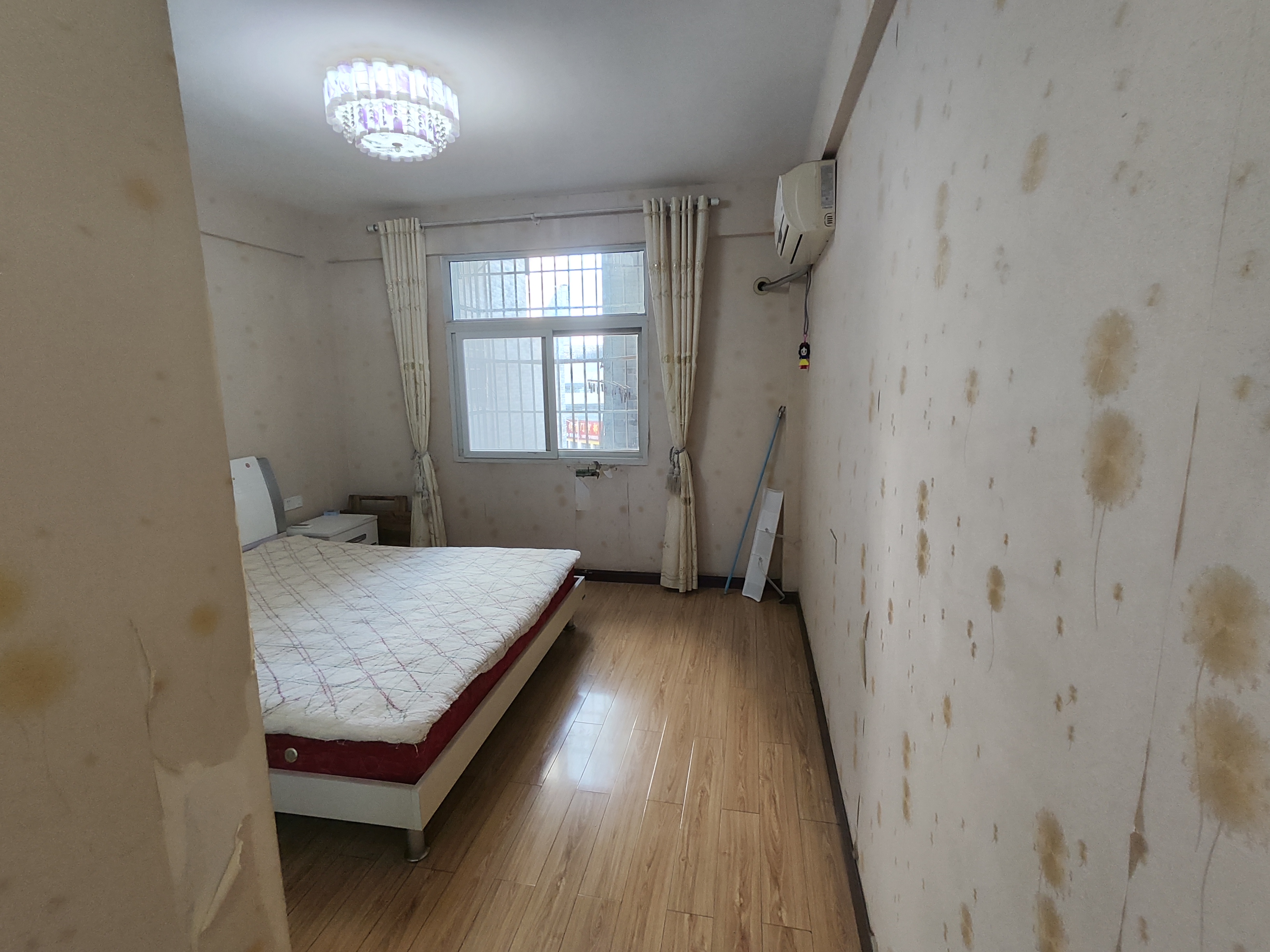 金园凤凰精装三房采光好小雪就在旁边