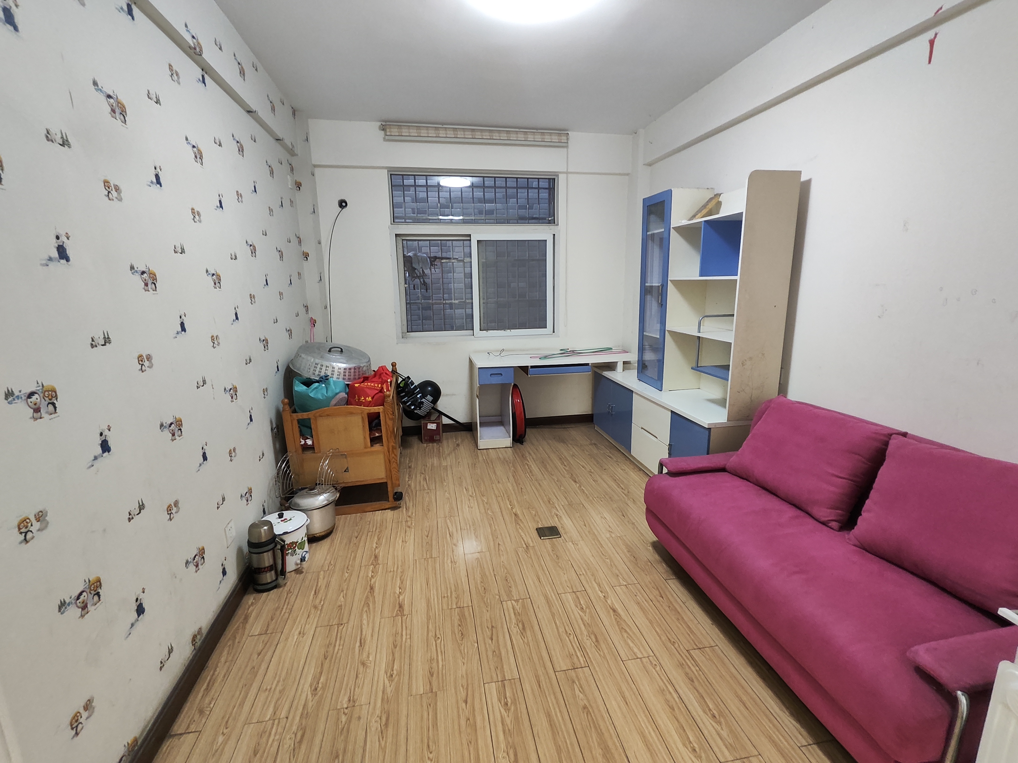 金园凤凰精装三房采光好小雪就在旁边