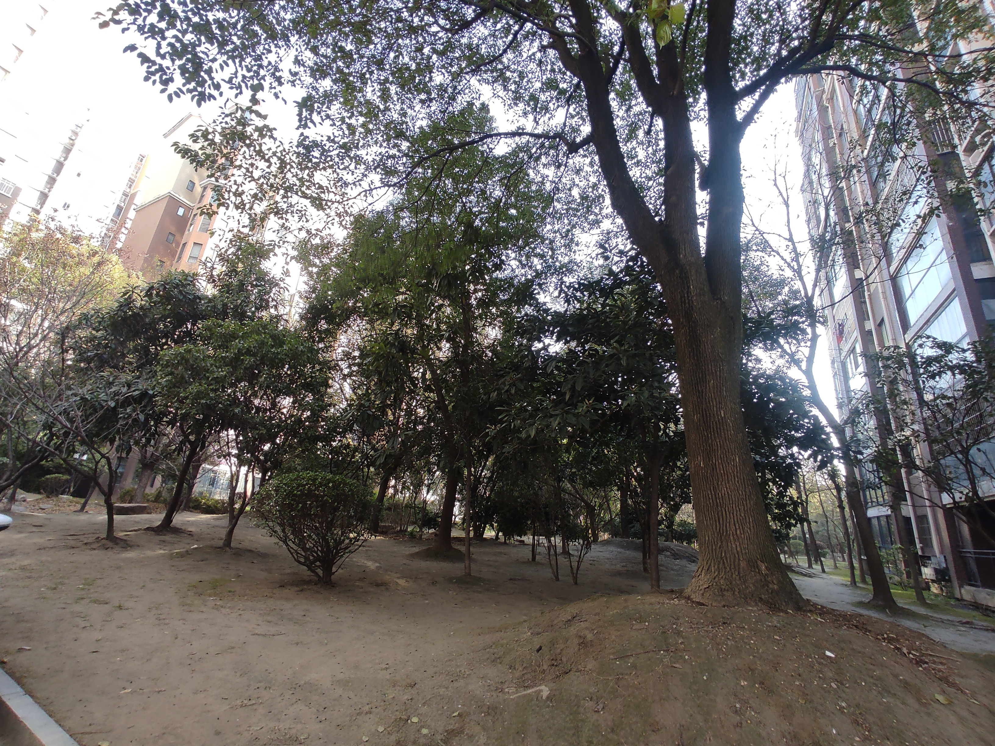 香岸华府.装修两房.南北双阳台.证件满二.带院子