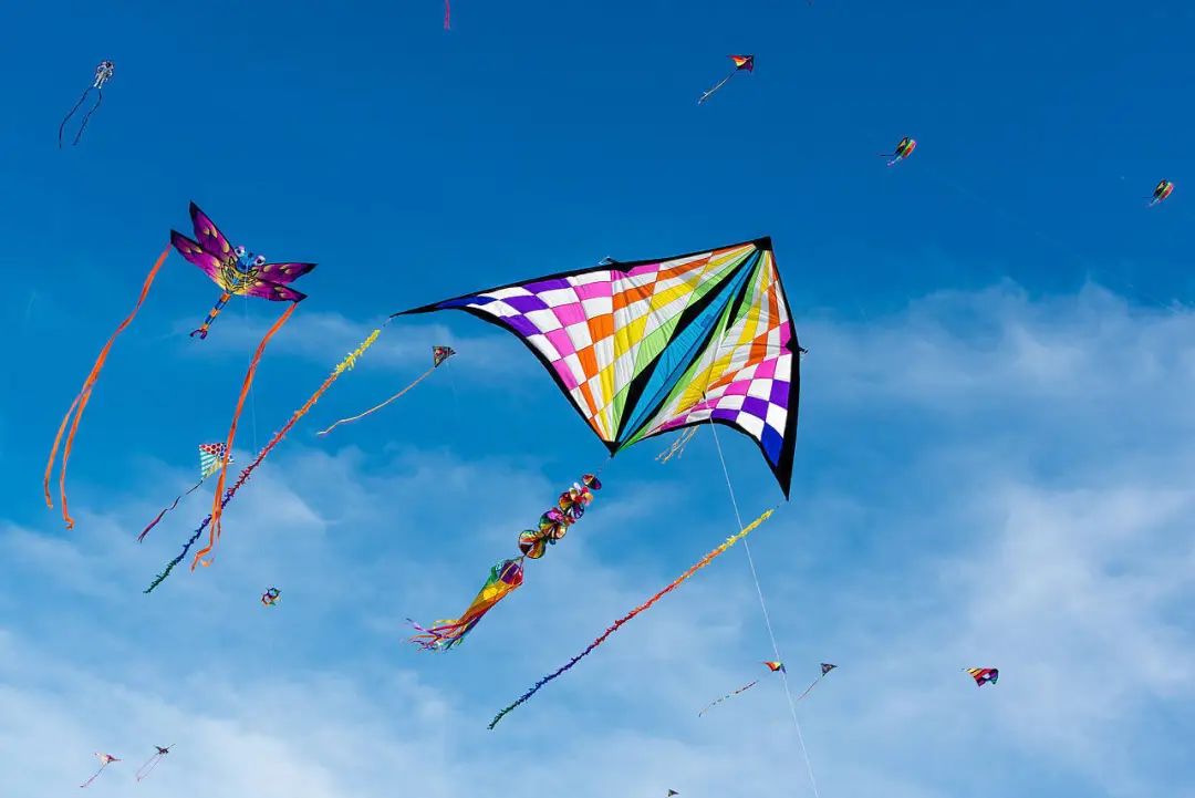 荣怀寻春踏青季，邀您共绘色彩斑斓的踏青记忆