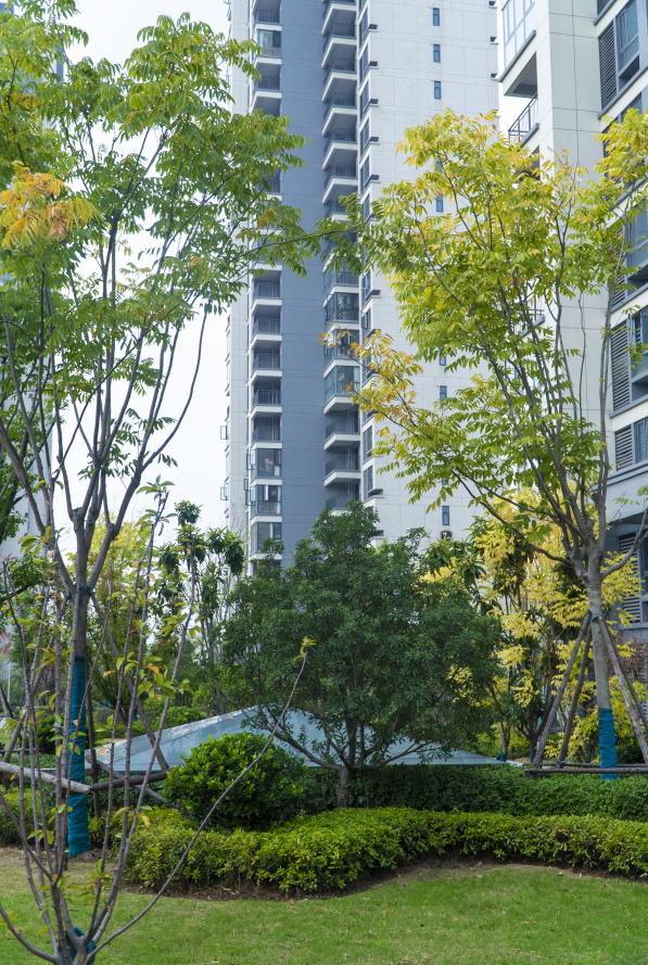 有一种理想生活，叫仙桃风和日丽！