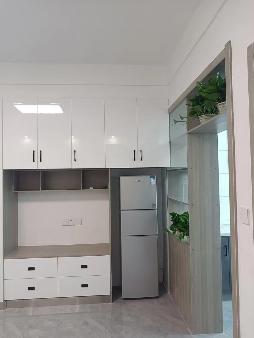 COCO天街.精装一室一厅出租.钥匙看房