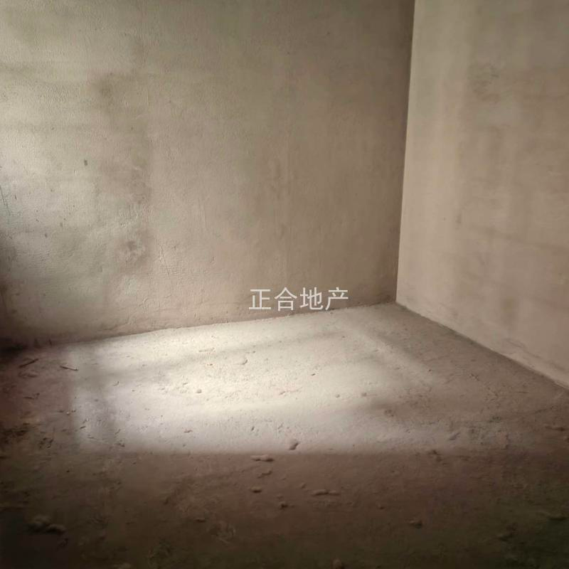 时代天骄三字头房价毛坯出售