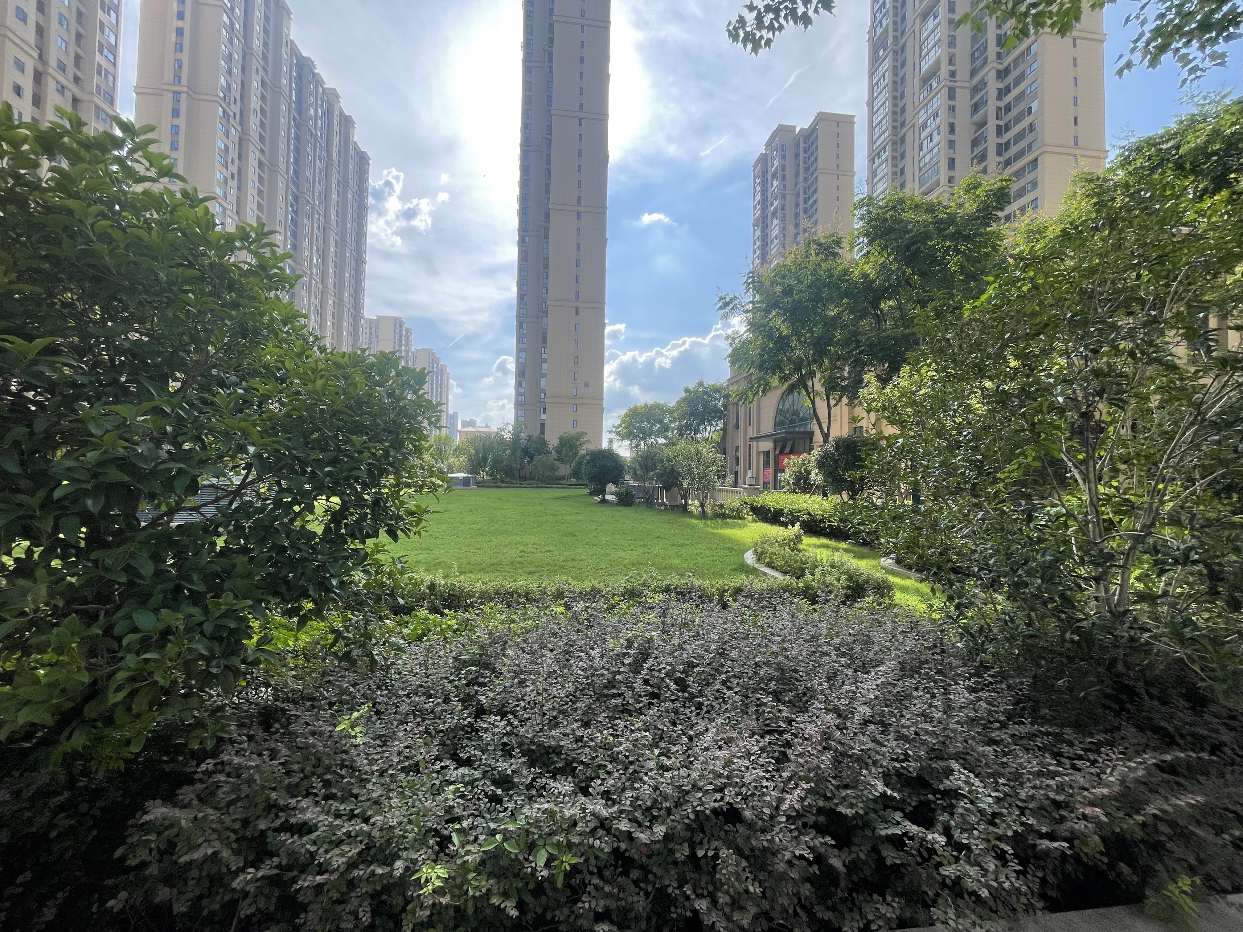 森林国际城3室2厅2卫毛坯房5000一平优价出售