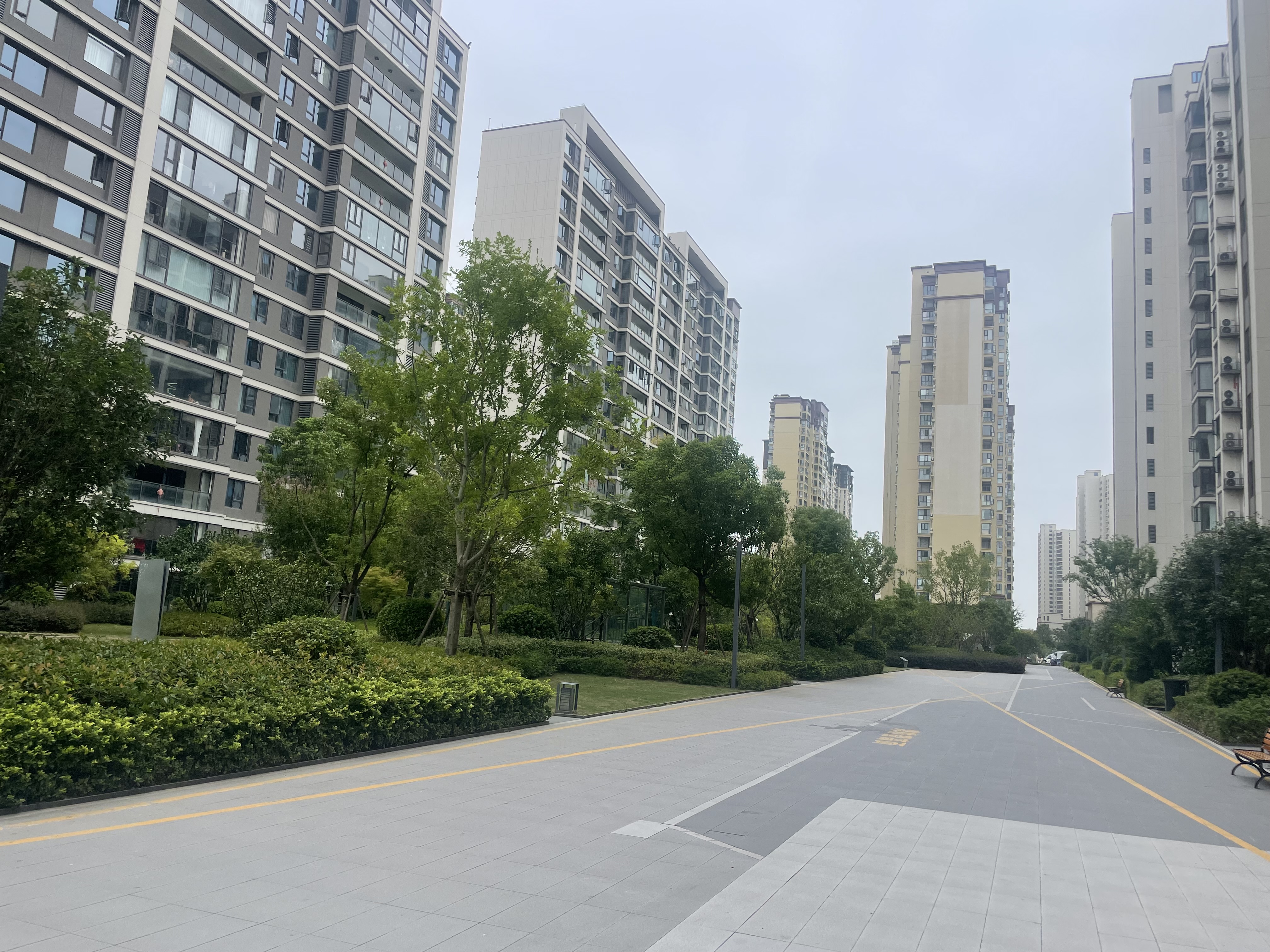 森林国际城3室2厅1卫 全新毛坯房 45万优价出售！
