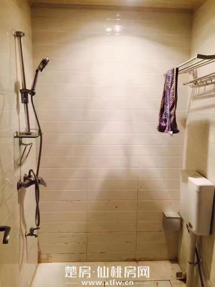 仙桃市大新路文化宫对面大兴公寓