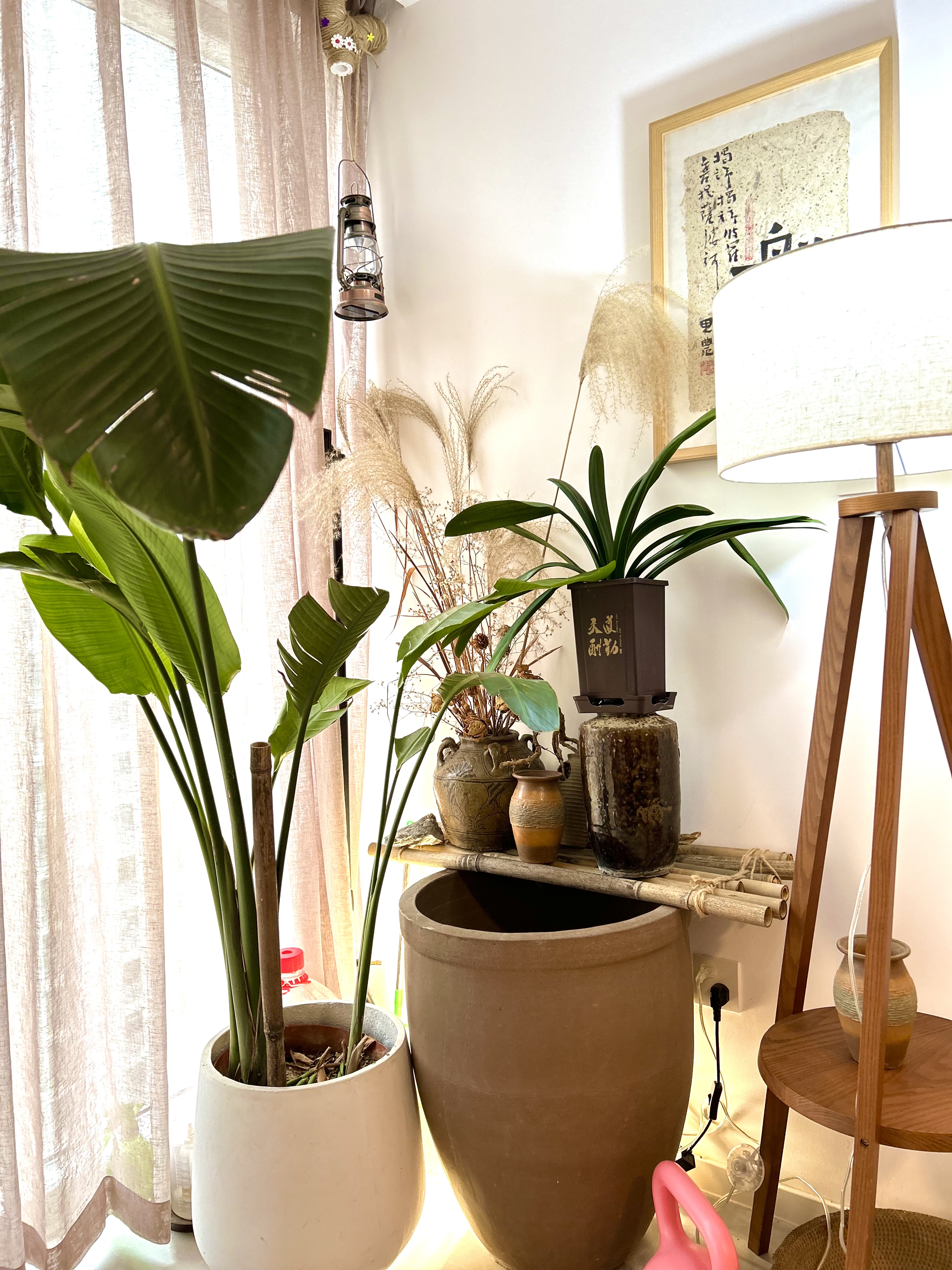 风和日丽，兑口新三中，五小，全新装修，业主是老师，因考虑卖房换大户型，忍痛割爱