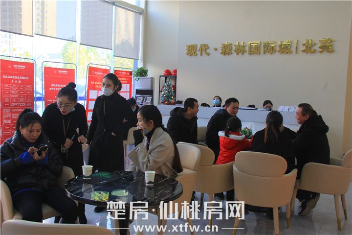 劲销8千万！现代·森林国际城|北苑沿街商铺荣耀开盘