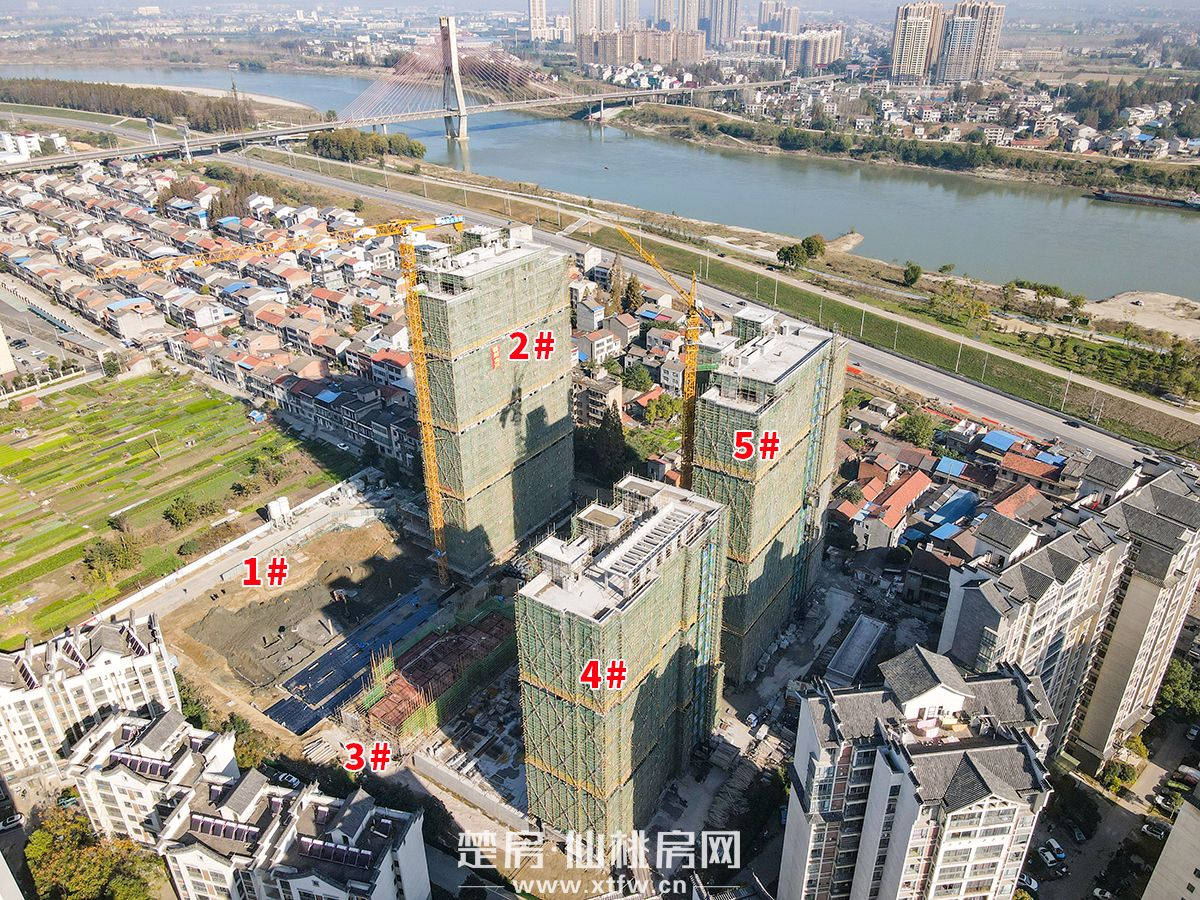 水云间丨11月工程进度播报 共鉴家的变化