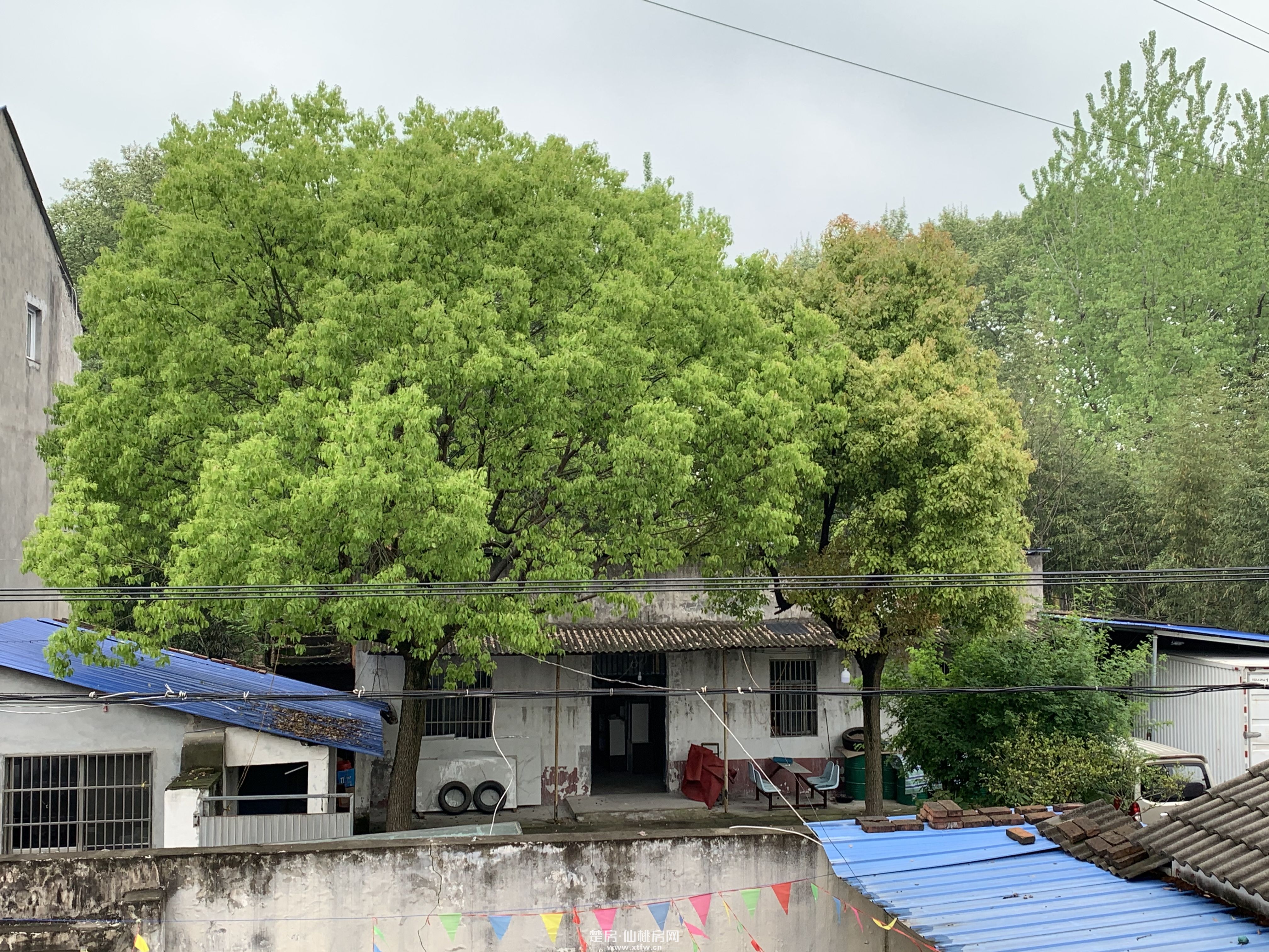 袁市双龙出售出租仓库厂房四合院不积水