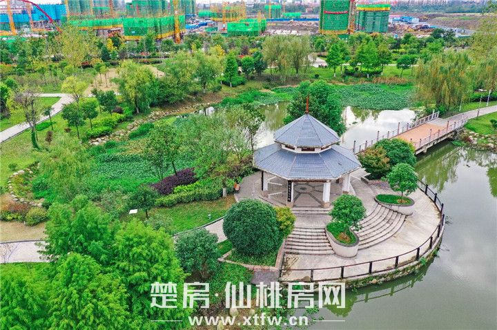 南城正芯，流量C位，低密住宅了解一下？