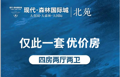 仅此一套！现代·森林国际城|北苑优价房6079元/㎡，手慢无！