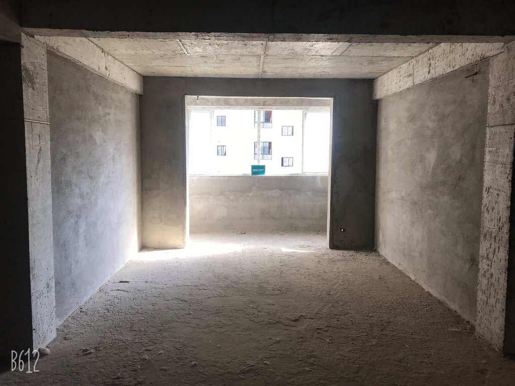 滨江星城看江滩 滨江星城 3室2厅老证 南北通透 诚心出售