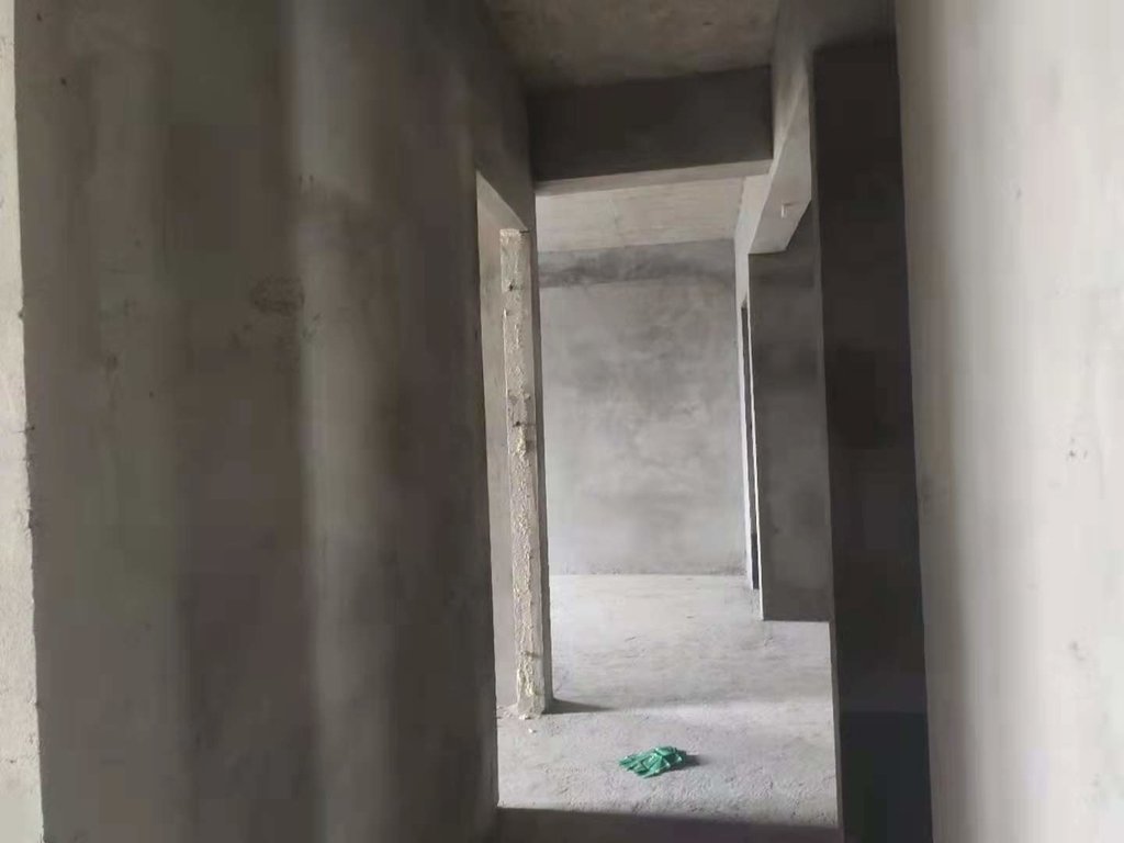 南城蓝天新城中间户型毛坯三室两厅两卫朝南小区环境好房屋质量过关