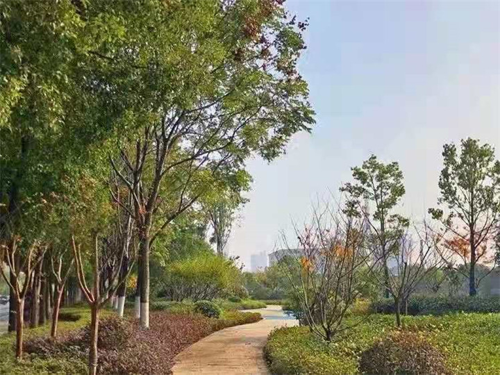 信和·御湖世家| 正是一年最美时，不负春光不负己