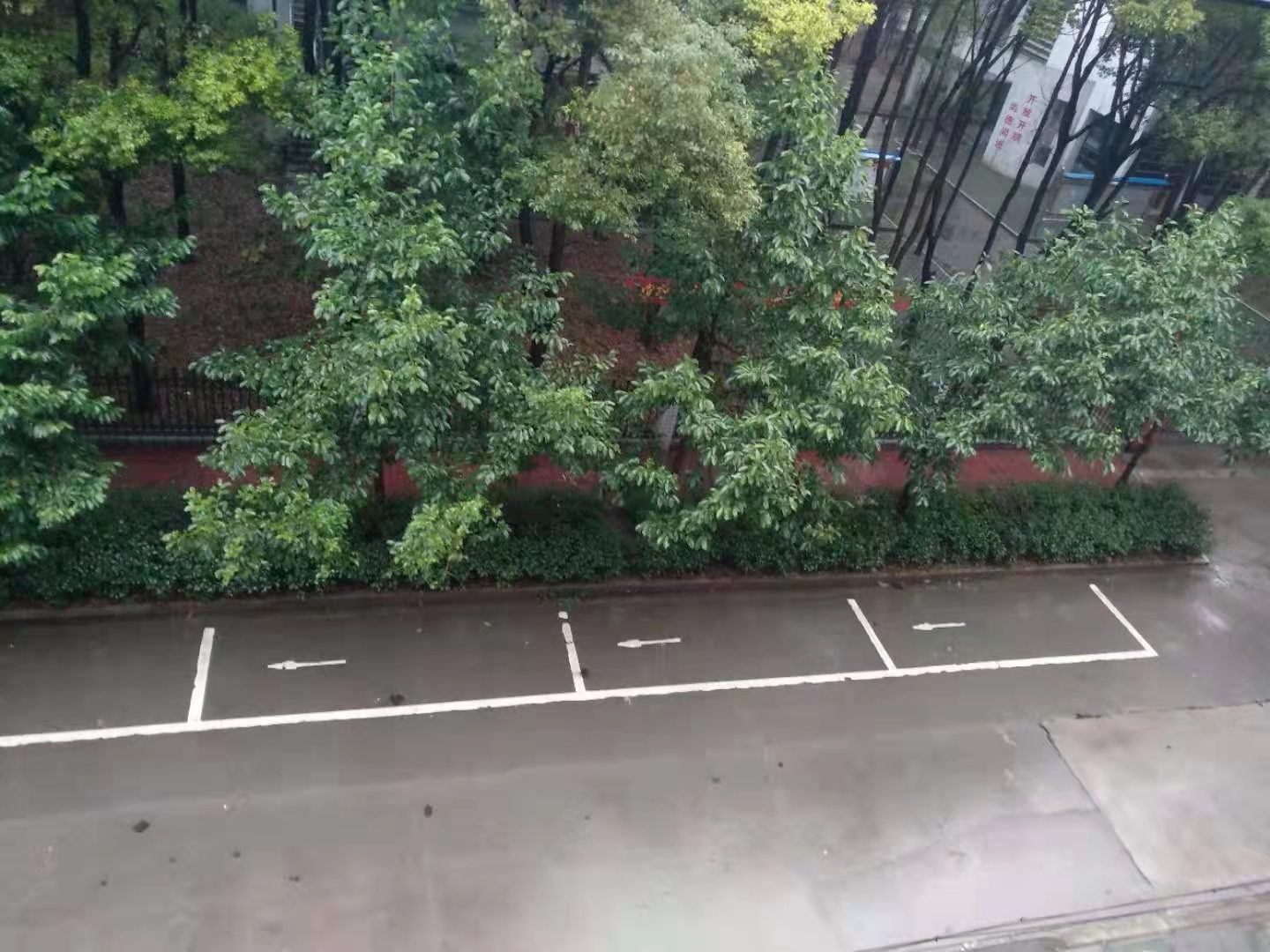 田园国际对面步梯4楼家电齐全靠近恒迪出租沃尔玛商圈