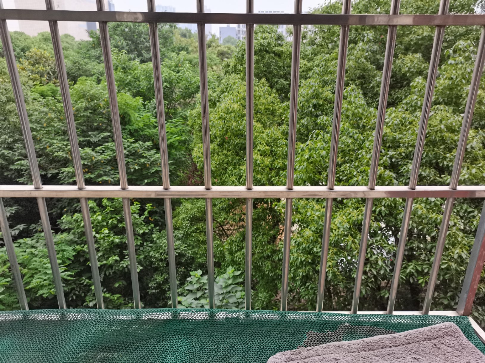 仙桃中学旁边金城馨苑