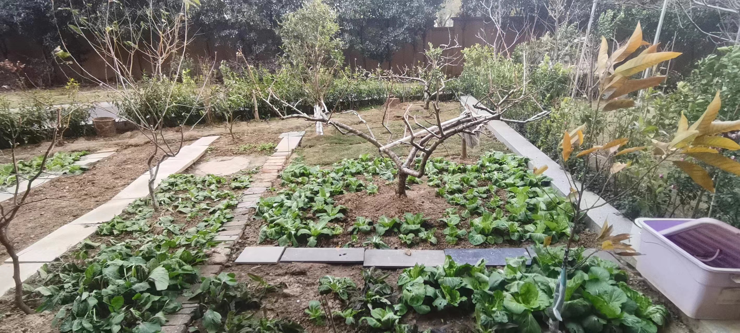 上林仙苑.精装三房.带200平的院子可以种花种菜.看房方便