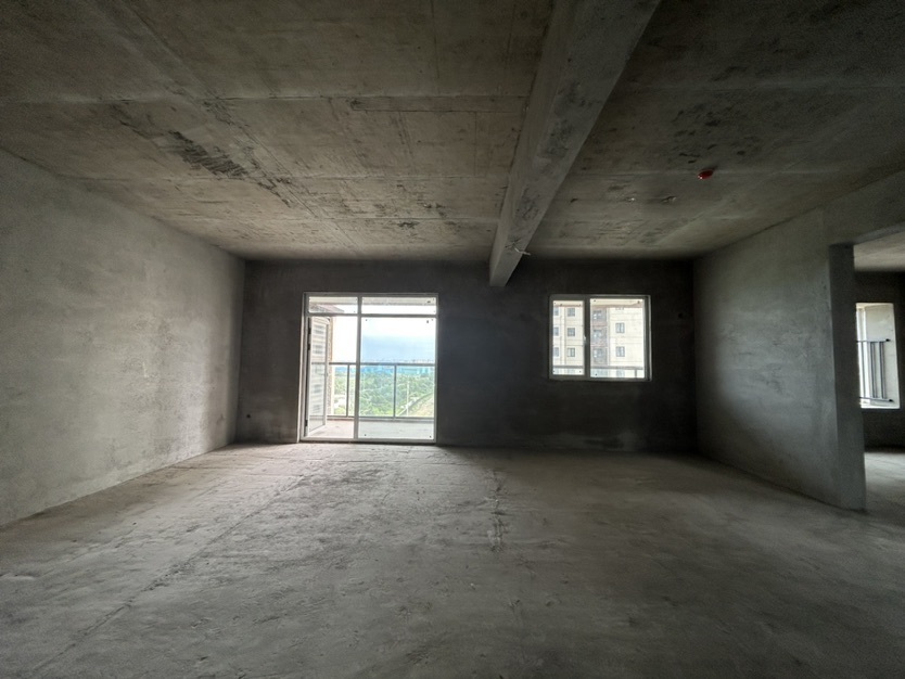 南城新区，沔阳公园旁，蓝天白云毛坯四房，两梯三户，性价比高