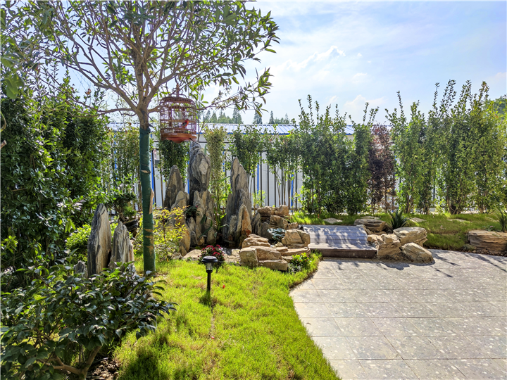 太子湖“第四代住房” 让家家户户拥有属于自己的绿色花园！