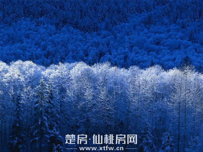 老8中附近  商品房