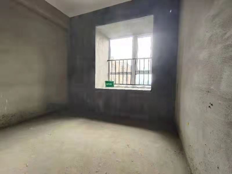 森林国际城，三面采光，湖景房，毛坯四房，电梯中层，采光通风非常好