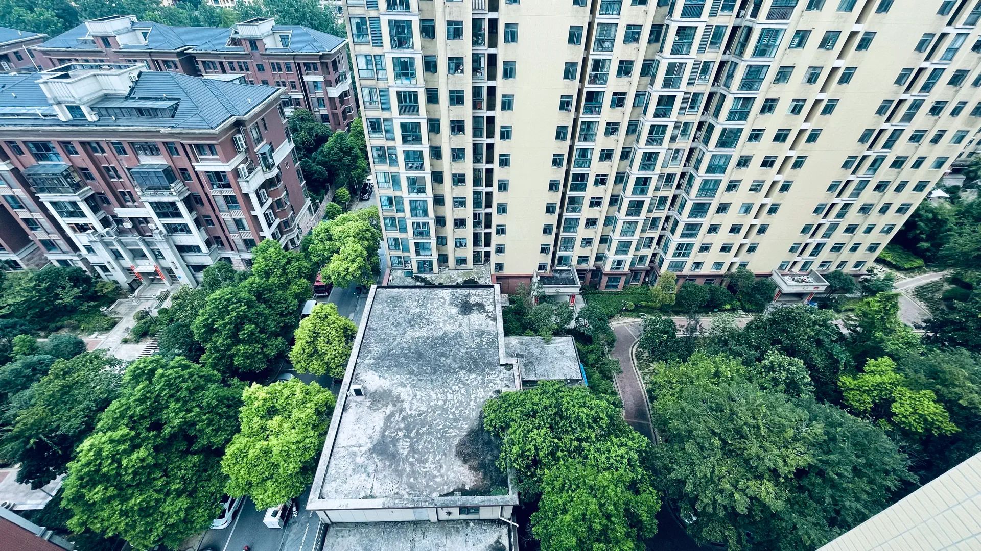 捡漏，亏本出售，新城一号，精装3房，证满二，诚心出售