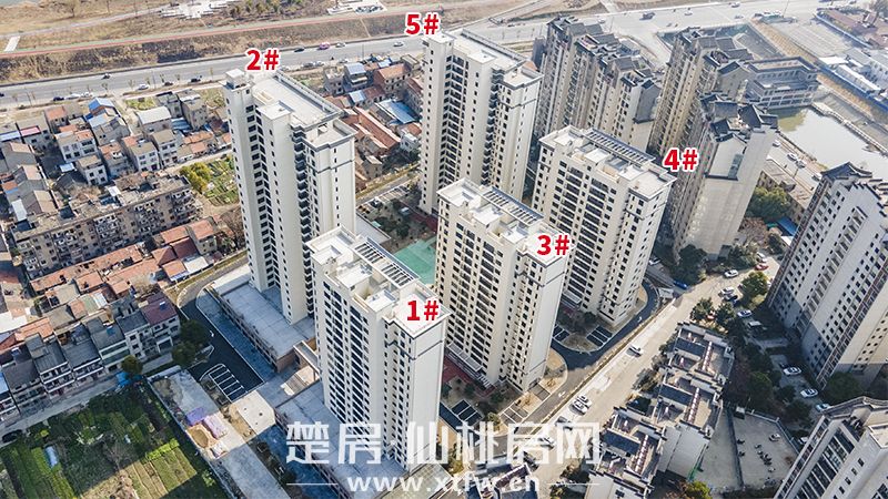 春日伊始 共聆家音 水云间五期2月工程进度播报