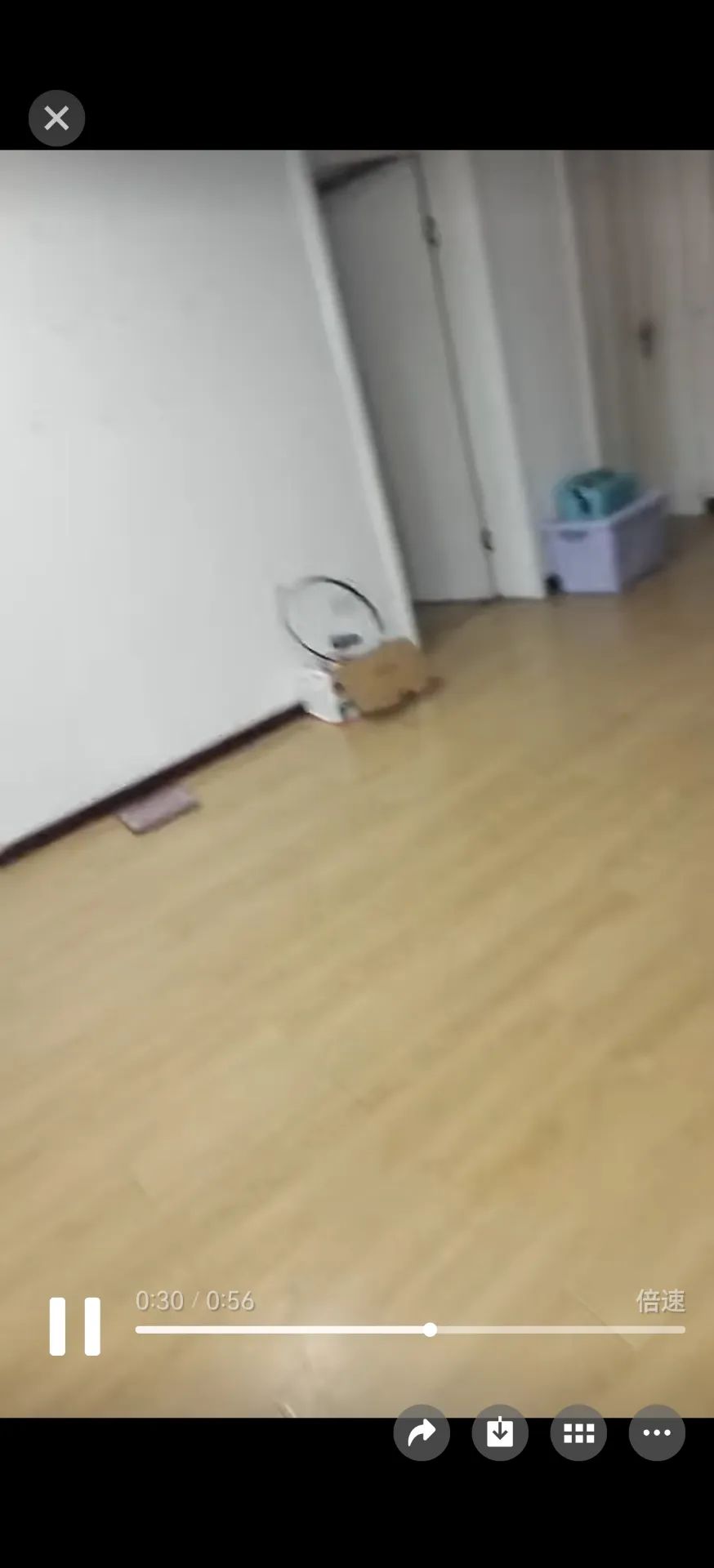 捡漏，城南，架空2楼，精装大三房，南北通透，