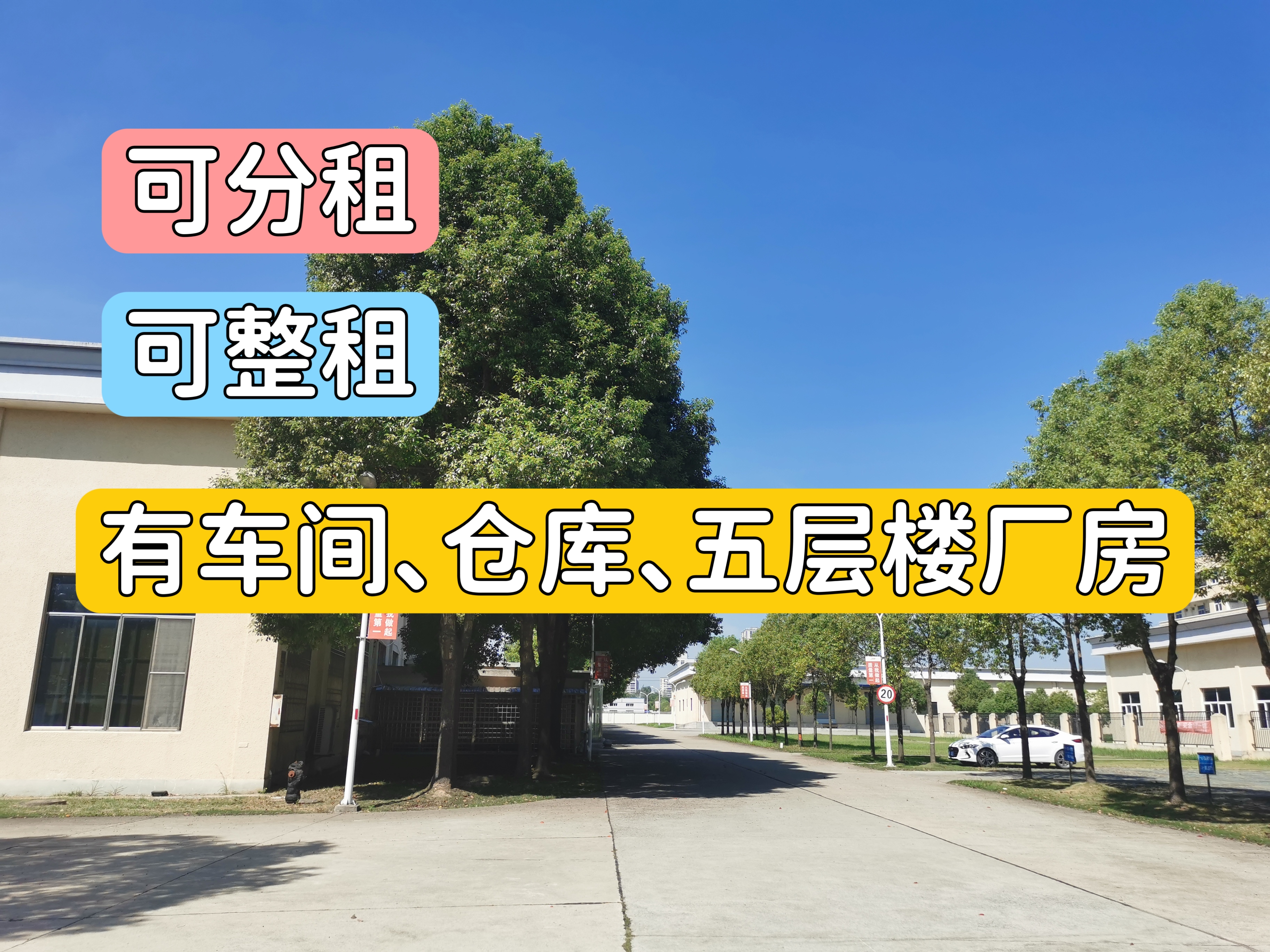 干河北路钢构框架厂房高抬库出租