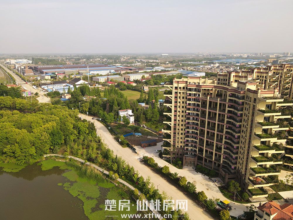 实景