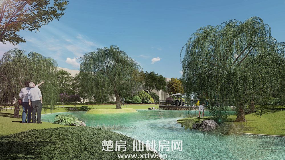 西区效果