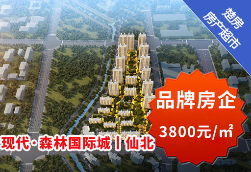 现代·森林国际城|仙北